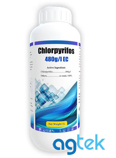 Thuốc trừ sâu côn trùng Chlorpyrifos