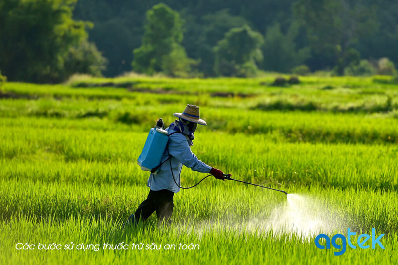 sử dụng thuốc trừ sâu an toàn