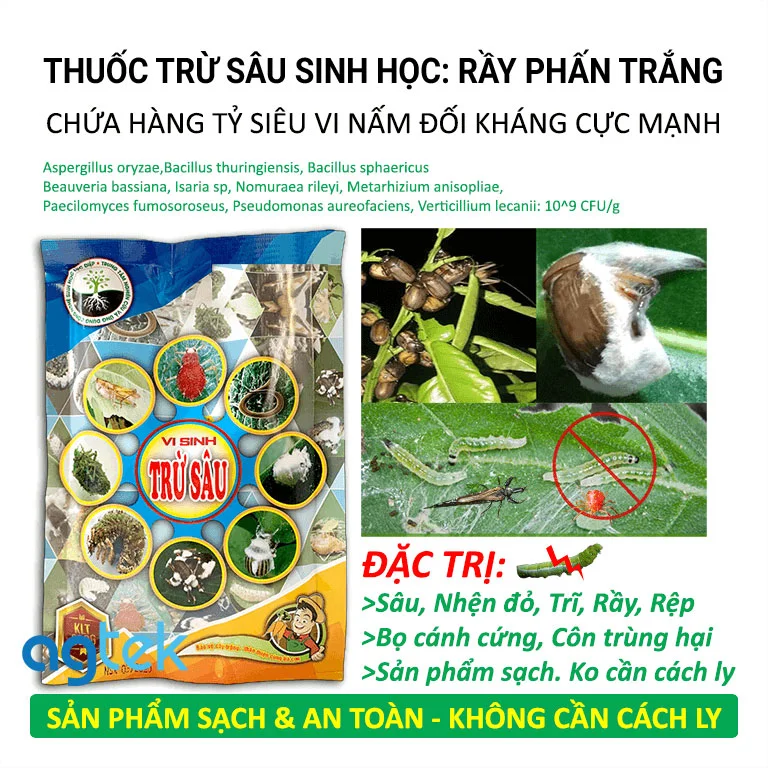 Thuốc trừ rầy phấn trắng vi sinh học