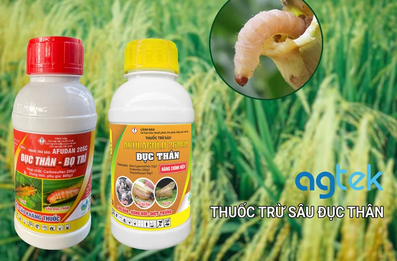 Thuốc trừ sâu đục thân