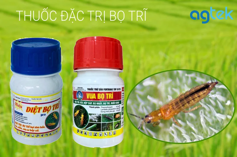 thuốc đặc trị bọ trĩ