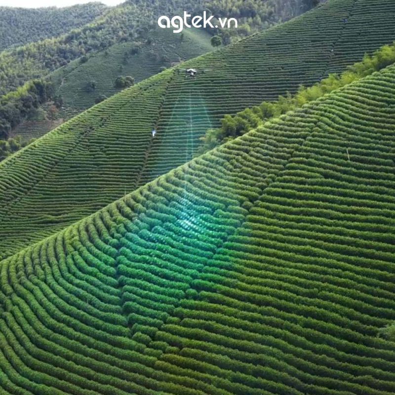 DJI T25P infor