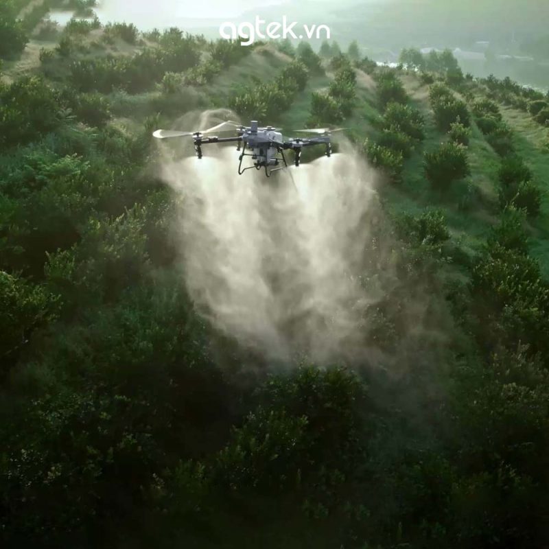 DJI T70P infor 2