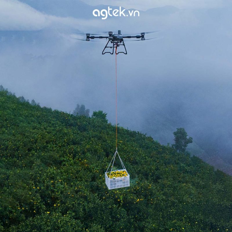 DJI T70P infor