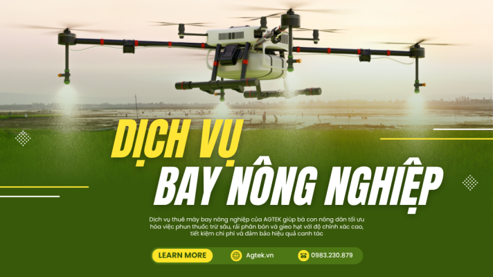 Dịch vụ máy bay không người lái gieo hạt sạ lúa