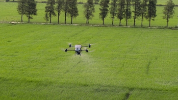Sự ổn định của máy bay không người lái dji t50 và t25