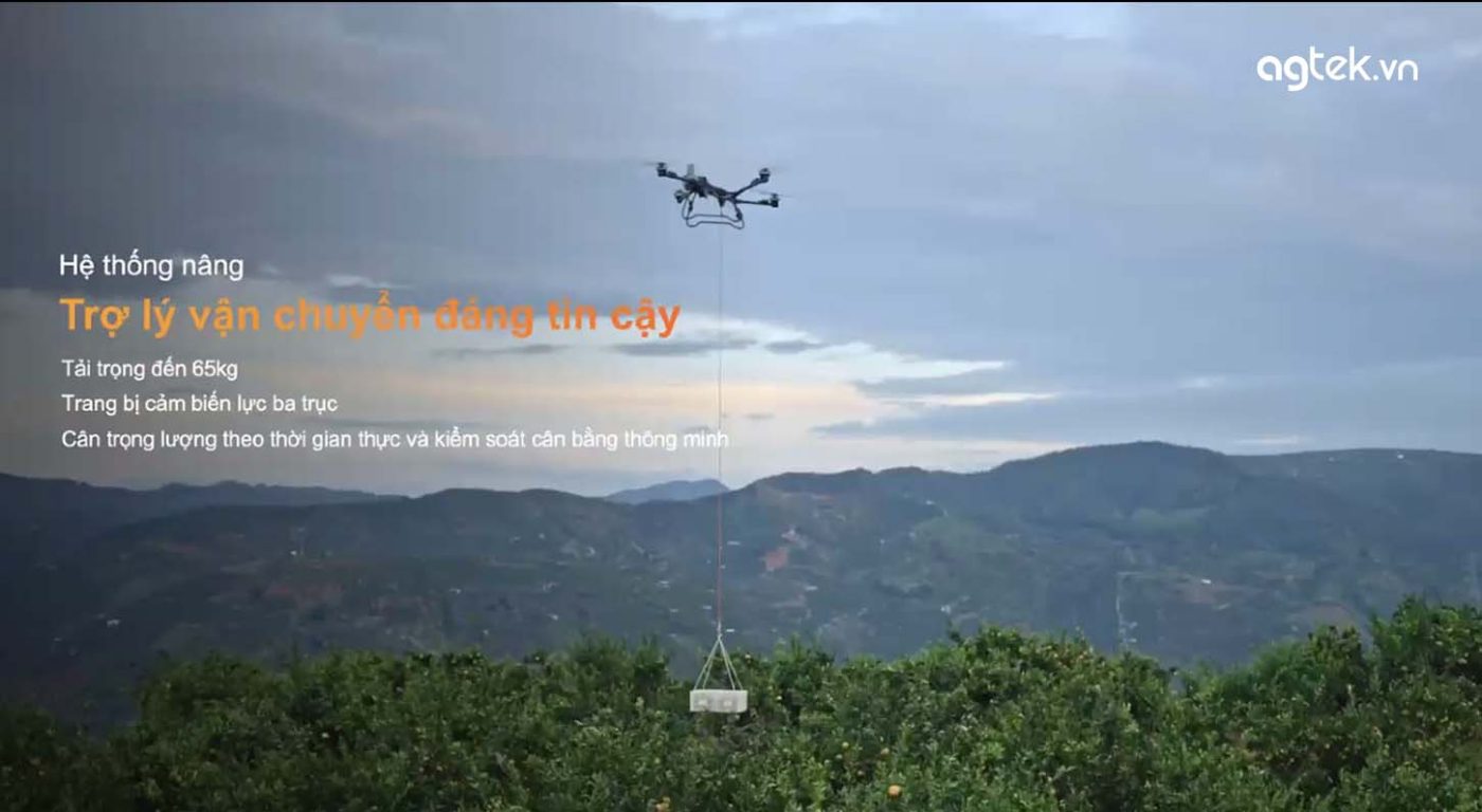 Khả năng vận chuyển T70P