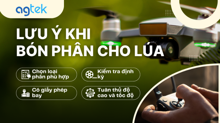 Lưu ý khi sử dụng máy bay không người lái bón phân cho lúa
