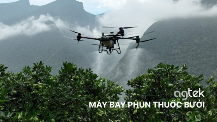 MÁY BAY PHUN THUỐC BƯỞI