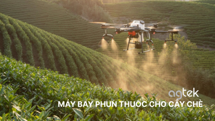MÁY BAY PHUN THUỐC CHO CÂY CHÈ, sử dụng drone trồng chè