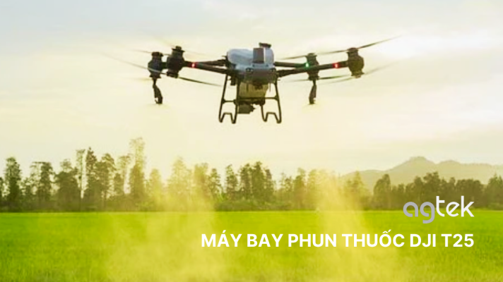 NHỆN GIÉ HẠI LÚA - DẤU HIỆU VÀ CÁCH PHÒNG TRỪ HIỆU QUẢ BẰNG DJI T25