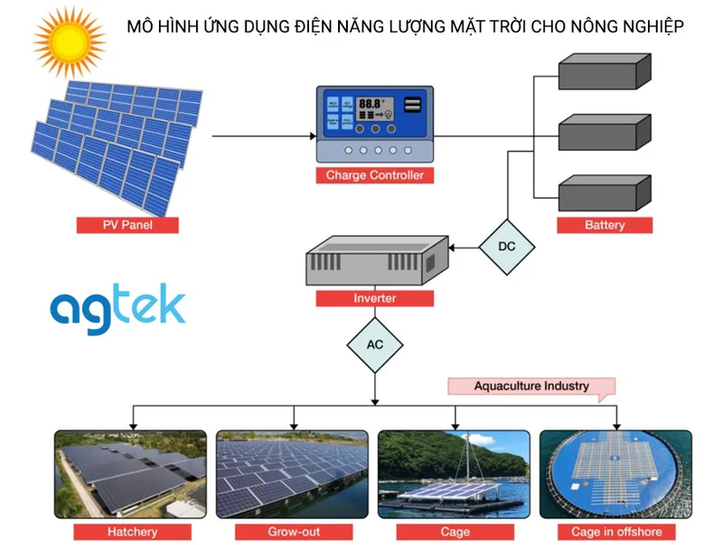 Mô hình ứng dụng điện năng lượng mặt trời cho nông nghiệp