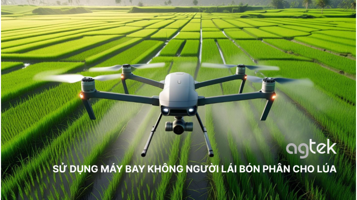 SỬ DỤNG MÁY BAY KHÔNG NGƯỜI LÁI BÓN PHÂN CHO LÚA