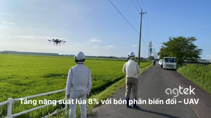 Tăng năng suất lúa 8% với bón phân biến đổi – UAV, máy bay không người lái bón phân