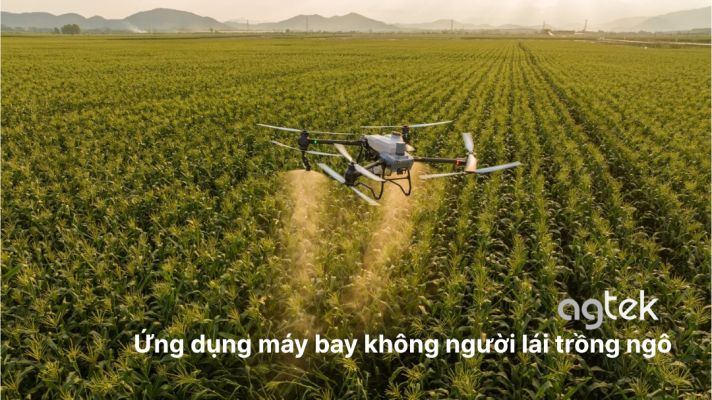 Ứng dụng máy bay không người lái trồng ngô