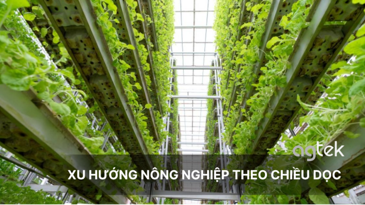 XU HƯỚNG CÔNG NGHỆ NÔNG NGHIỆP THEO CHIỀU DỌC