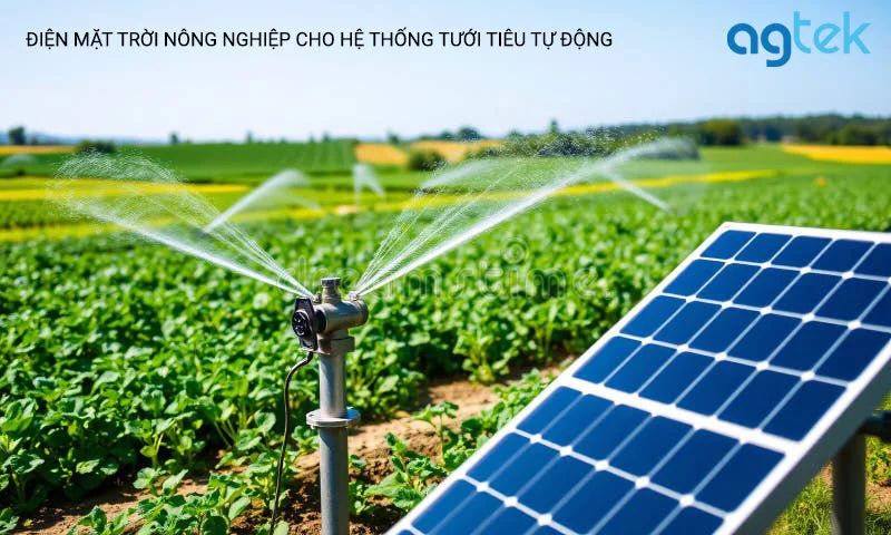 điện mặt trời nông nghiệp cho hệ thống tưới tiêu tự động