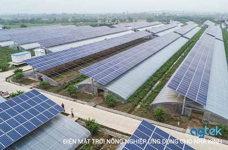 điện mặt trời nông nghiệp ứng dụng cho nhà kính