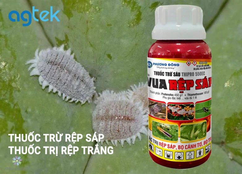 thuốc trừ rệp sáp thuốc trị rệp trắng