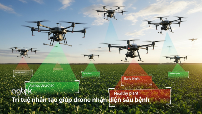 Trí tuệ nhân tạo giúp drone nhận diện sâu bệnh