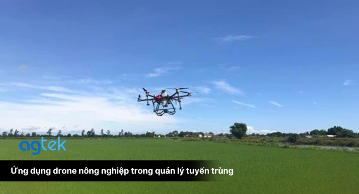 Ứng dụng drone nông nghiệp trong quản lý tuyến trùng trong đất