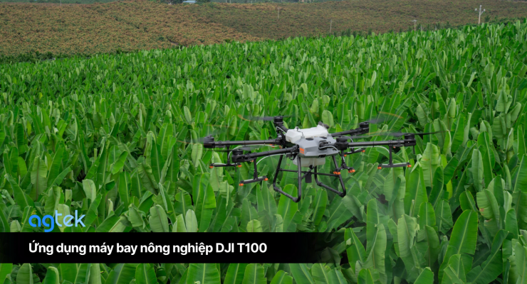 Ứng dụng máy bay nông nghiệp DJI T100