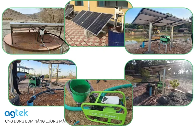 ứng dụng Bơm năng lượng mặt trời cho hệ thống tưới nông nghiệp