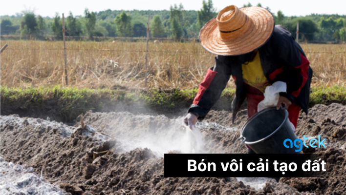Bón vôi cải tạo đất