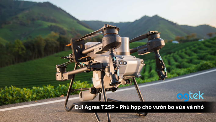 DJI Agras T25P - Phù hợp cho vườn bơ vừa và nhỏ
