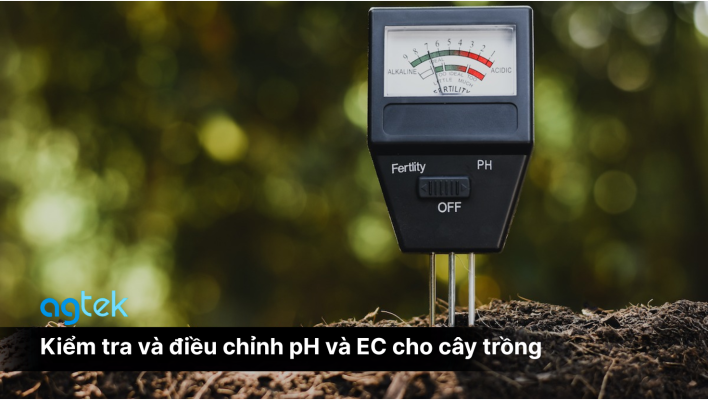 Kiểm tra và điều chỉnh pH và EC cho cây trồng