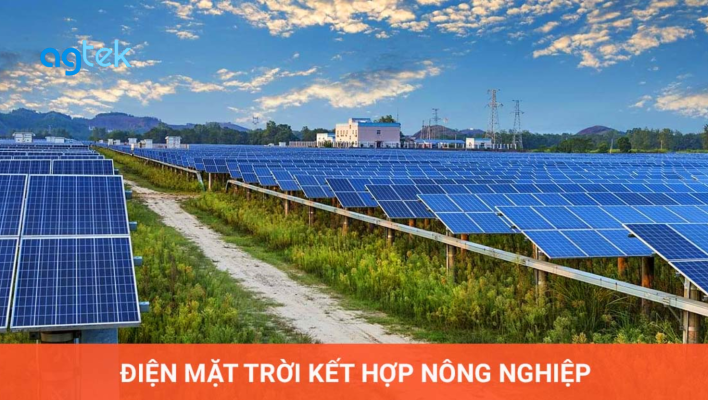 Tấm pin năng lượng mặt trời sử dụng trong nông nghiệp, ứng dụng tấm pin thực tế, tấm pin poly, tấm pin mono