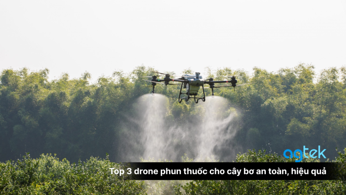 Top 3 drone phun thuốc cho cây bơ an toàn, hiệu quả