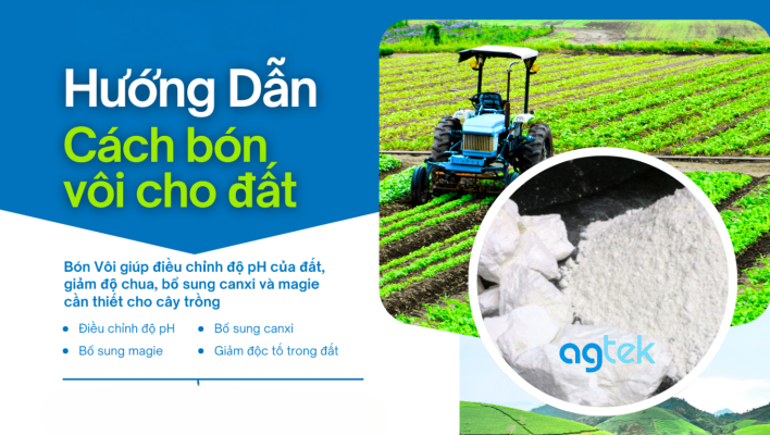 hướng dẫn cách bón vôi cho đất