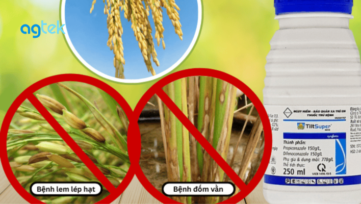 nguyên nhân, Biện pháp phòng trừ lem lép lúa