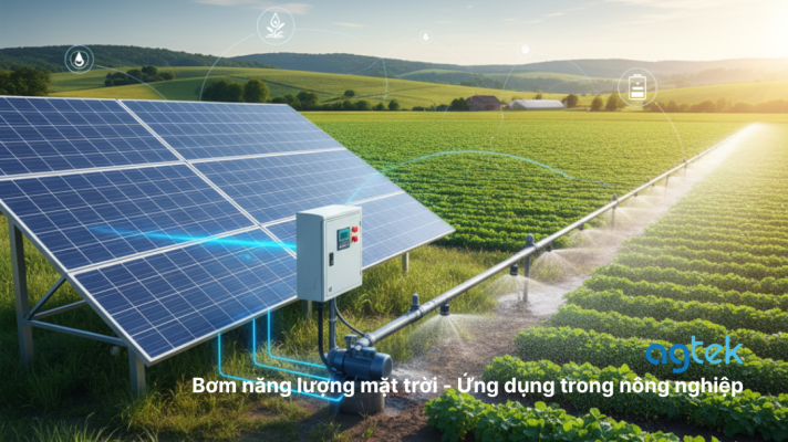 Bơm năng lượng mặt trời - Ứng dụng trong nông nghiệp