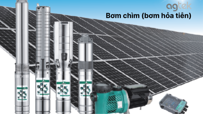 Các loại máy bơm năng lượng mặt trời phổ biến 2025, Bơm chìm (bơm hỏa tiễn)