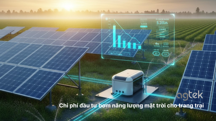 Chi phí đầu tư bơm năng lượng mặt trời cho trang trại