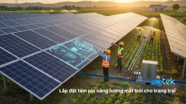 Lắp đặt tấm pin năng lượng mặt trời cho trang trại
