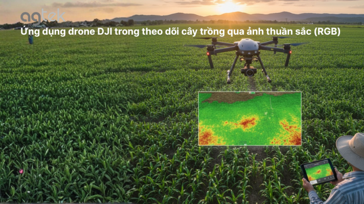 Ứng dụng drone DJI trong theo dõi cây trồng qua ảnh thuần sắc (RGB)