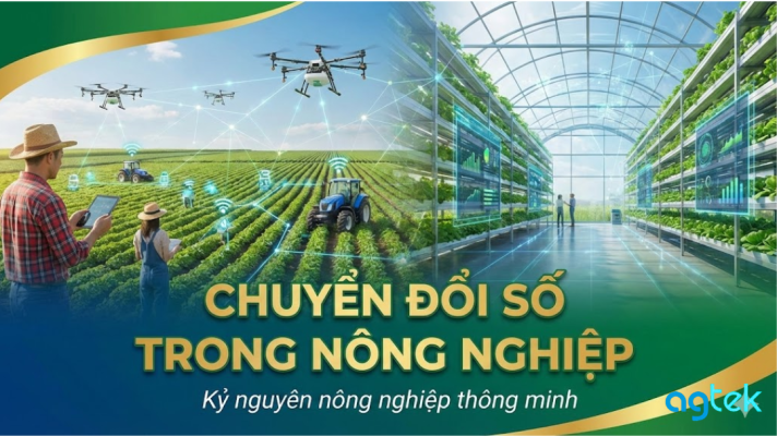 Chuyển đổi số trong nông nghiệp: Hướng đi nào cho HTX?