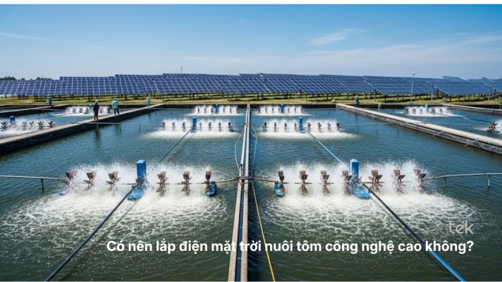 Có nên lắp điện mặt trời nuôi tôm công nghệ cao không?