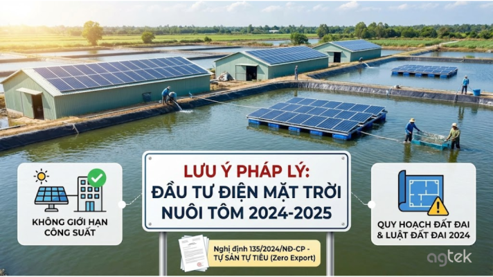 Lưu ý về pháp lý khi đầu tư điện mặt trời nuôi tôm năm 2024-2025