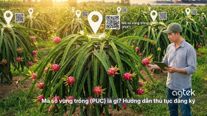 Mã số vùng trồng (PUC) là gì? Hướng dẫn thủ tục đăng ký