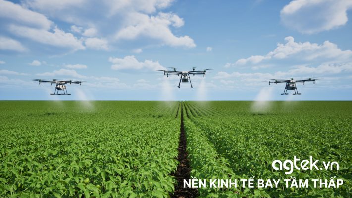 Nen kinh te bay tam thap agtek.vn