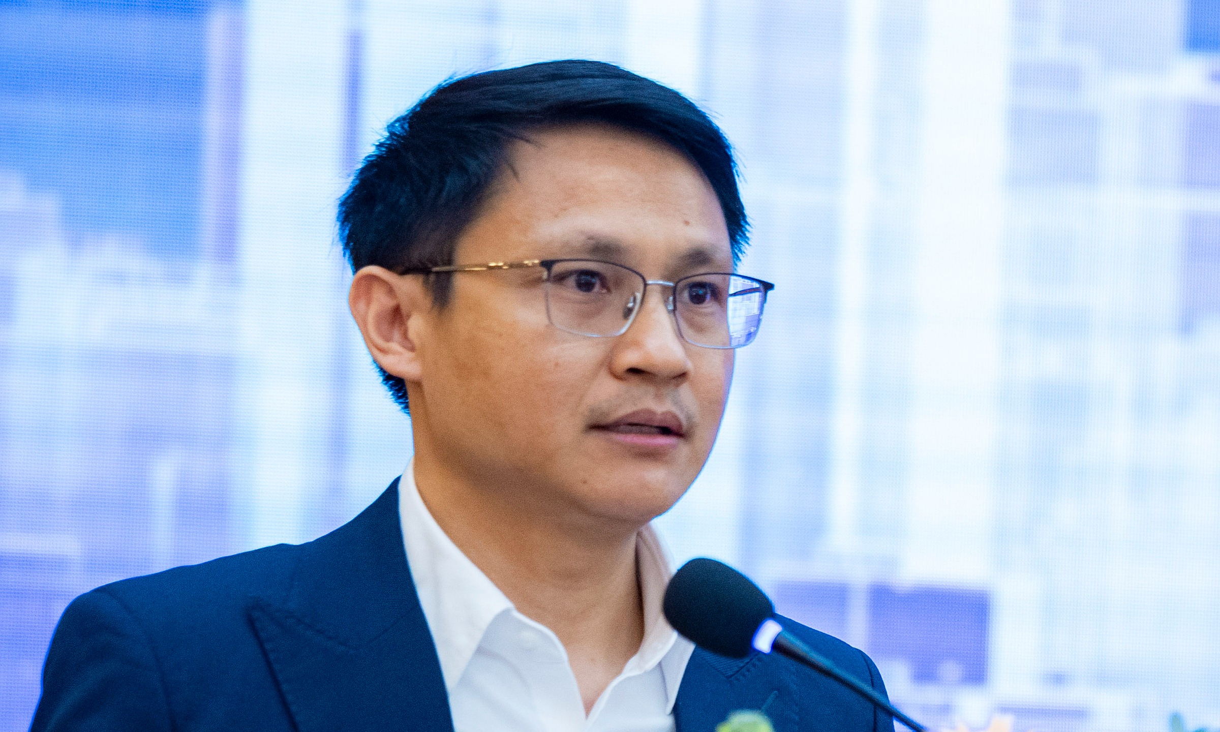 Phó giám đốc NIC Võ Xuân Hoài