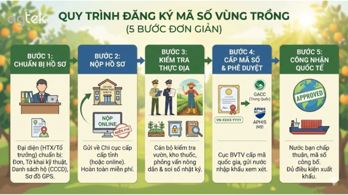 Quy trình đăng ký mã số vùng trồng