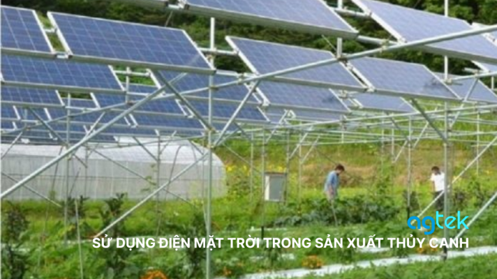 SỬ DỤNG ĐIỆN MẶT TRỜI TRONG SẢN XUẤT THỦY CANH