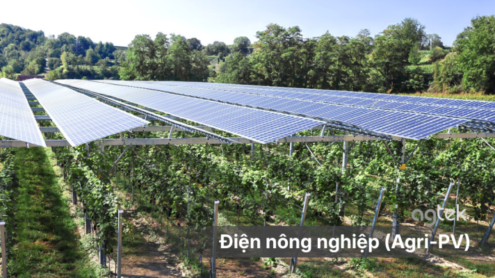 điện nông nghiệp (Agri-PV)