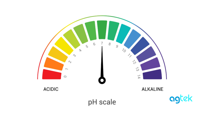 đất chua, nguyên nhân và biện pháp cải tạo