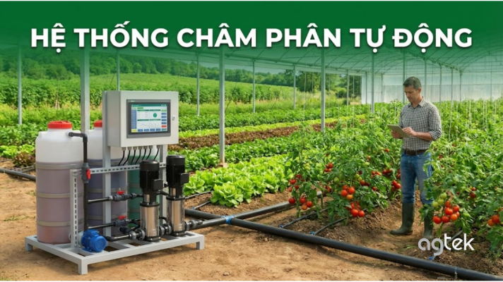 Hệ thống châm phân tự động dưa lưới nhà màng, quy trình lắp đặt